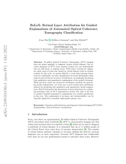 ReLaX: Retinal Layer Attribution for Guided Explanations of Automated
  Optical Coherence Tomography Classification