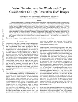 Vision Transformers For Weeds and Crops Classification Of High
  Resolution UAV Images