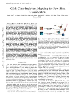 CIM: Class-Irrelevant Mapping for Few-Shot Classification