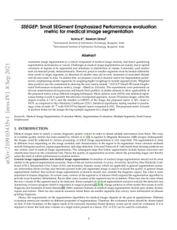 SSEGEP: Small SEGment Emphasized Performance evaluation metric for
  medical image segmentation