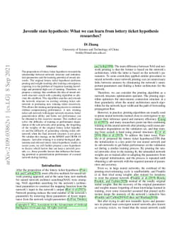 Juvenile state hypothesis: What we can learn from lottery ticket
  hypothesis researches?