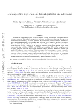 Learning cortical representations through perturbed and adversarial
  dreaming