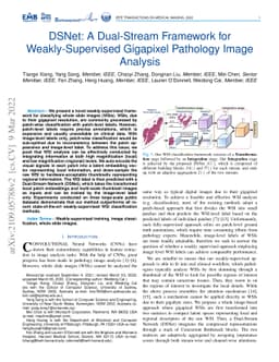 DSNet: A Dual-Stream Framework for Weakly-Supervised Gigapixel Pathology
  Image Analysis
