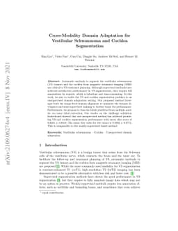 Cross-Modality Domain Adaptation for Vestibular Schwannoma and Cochlea
  Segmentation