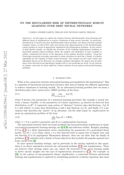 On the regularized risk of distributionally robust learning over deep
  neural networks
