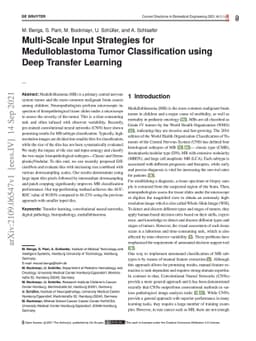 Multi-Scale Input Strategies for Medulloblastoma Tumor Classification
  using Deep Transfer Learning