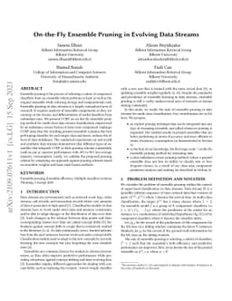On-the-Fly Ensemble Pruning in Evolving Data Streams