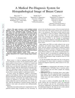 A Medical Pre-Diagnosis System for Histopathological Image of Breast
  Cancer