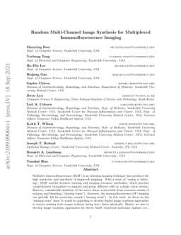 Random Multi-Channel Image Synthesis for Multiplexed Immunofluorescence
  Imaging