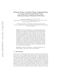 Primary Tumor and Inter-Organ Augmentations for Supervised Lymph Node
  Colon Adenocarcinoma Metastasis Detection