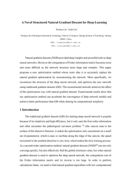 A Novel Structured Natural Gradient Descent for Deep Learning