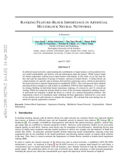 Ranking Feature-Block Importance in Artificial Multiblock Neural
  Networks