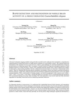 Rapid detection and recognition of whole brain activity in a freely
  behaving Caenorhabditis elegans