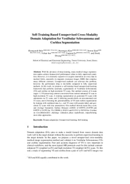 Self-Training Based Unsupervised Cross-Modality Domain Adaptation for
  Vestibular Schwannoma and Cochlea Segmentation
