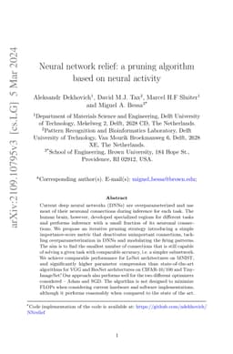 Neural network relief: a pruning algorithm based on neural activity