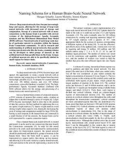 Naming Schema for a Human Brain-Scale Neural Network