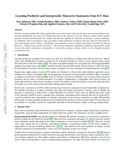 Learning Predictive and Interpretable Timeseries Summaries from ICU Data