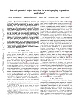 Towards practical object detection for weed spraying in precision
  agriculture