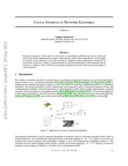 Causal Inference in Network Economics
