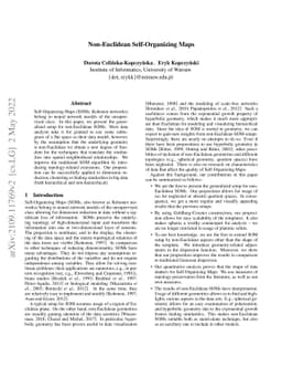 Non-Euclidean Self-Organizing Maps
