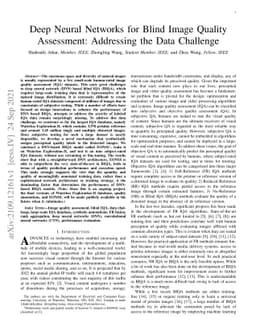 Deep Neural Networks for Blind Image Quality Assessment: Addressing the
  Data Challenge