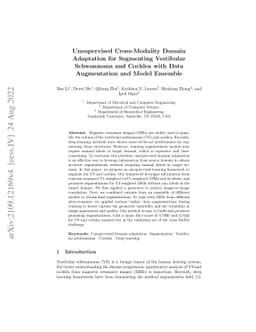 Unsupervised Cross-Modality Domain Adaptation for Segmenting Vestibular
  Schwannoma and Cochlea with Data Augmentation and Model Ensemble