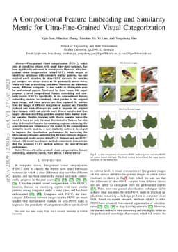 A Compositional Feature Embedding and Similarity Metric for
  Ultra-Fine-Grained Visual Categorization