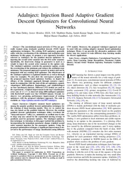 AdaInject: Injection Based Adaptive Gradient Descent Optimizers for
  Convolutional Neural Networks
