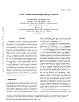 Vision Transformer Hashing for Image Retrieval