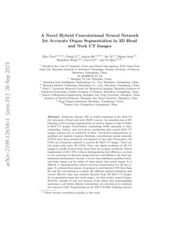 A Novel Hybrid Convolutional Neural Network for Accurate Organ
  Segmentation in 3D Head and Neck CT Images