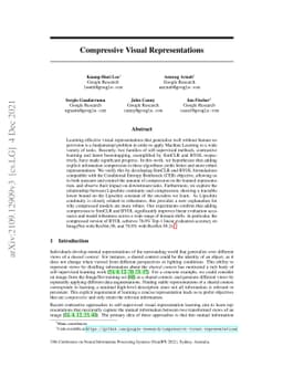 Compressive Visual Representations