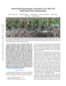 Vision-Guided Quadrupedal Locomotion in the Wild with Multi-Modal Delay
  Randomization