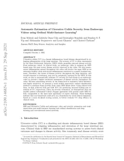 Automatic Estimation of Ulcerative Colitis Severity from Endoscopy
  Videos using Ordinal Multi-Instance Learning