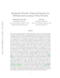 Biologically Plausible Training Mechanisms for Self-Supervised Learning
  in Deep Networks