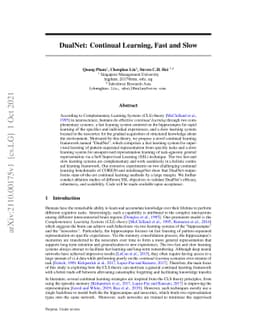 DualNet: Continual Learning, Fast and Slow