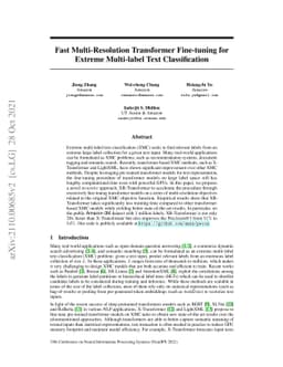Fast Multi-Resolution Transformer Fine-tuning for Extreme Multi-label
  Text Classification
