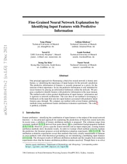 Fine-Grained Neural Network Explanation by Identifying Input Features
  with Predictive Information