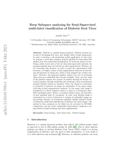 Deep Subspace analysing for Semi-Supervised multi-label classification
  of Diabetic Foot Ulcer