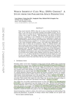 Which Shortcut Cues Will DNNs Choose? A Study from the Parameter-Space
  Perspective