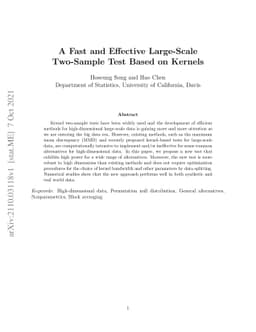 A Fast and Effective Large-Scale Two-Sample Test Based on Kernels