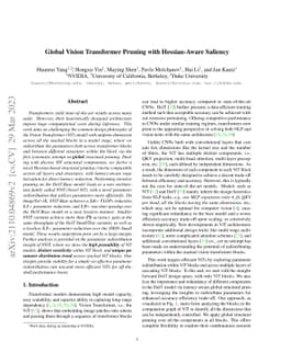 Global Vision Transformer Pruning with Hessian-Aware Saliency