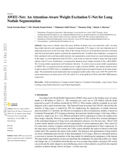 AWEU-Net: An Attention-Aware Weight Excitation U-Net for Lung Nodule
  Segmentation