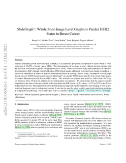 SlideGraph+: Whole Slide Image Level Graphs to Predict HER2Status in
  Breast Cancer
