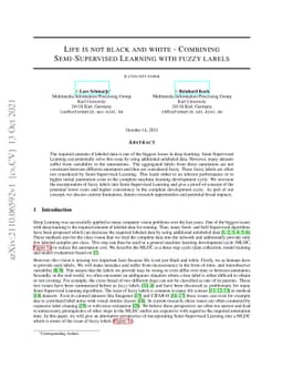 Life is not black and white -- Combining Semi-Supervised Learning with
  fuzzy labels