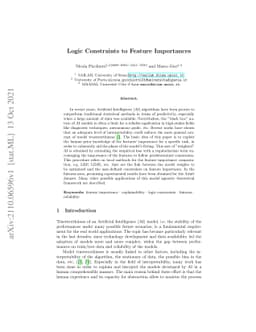 Logic Constraints to Feature Importances