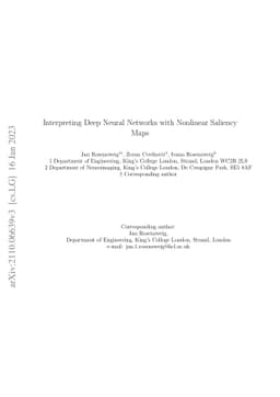 When saliency goes off on a tangent: Interpreting Deep Neural Networks
  with nonlinear saliency maps