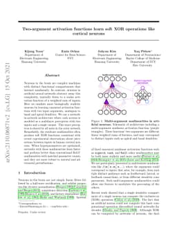 Two-argument activation functions learn soft XOR operations like
  cortical neurons