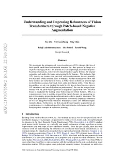 Understanding and Improving Robustness of Vision Transformers through
  Patch-based Negative Augmentation