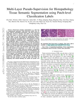 Multi-Layer Pseudo-Supervision for Histopathology Tissue Semantic
  Segmentation using Patch-level Classification Labels