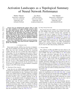 Activation Landscapes as a Topological Summary of Neural Network
  Performance